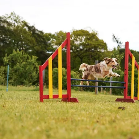 Hof Koehne - Altes - Dachstube Rechts 公寓 *