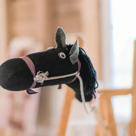 公寓 Hof Koehne - Altes - Dachstube Rechts *