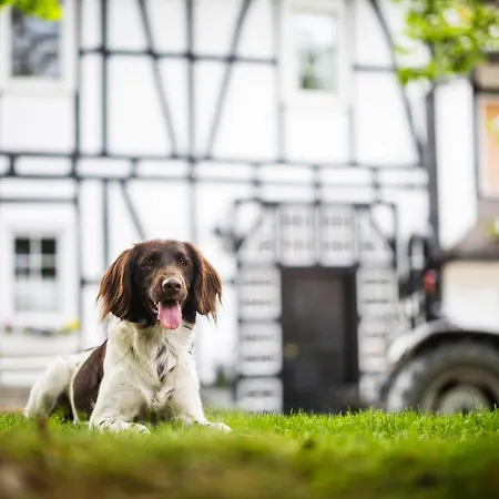 Hof Koehne - Altes - Dachstube Rechts 公寓 施马伦贝格