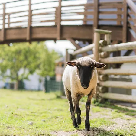 Hof Koehne - Altes - Dachstube Rechts * 施马伦贝格