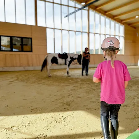 Hof Koehne - Altes - Dachstube Rechts 施马伦贝格