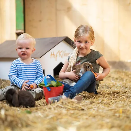 公寓 Hof Koehne - Altes - Dachstube Rechts *