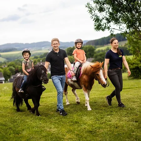 Hof Koehne - Altes - Dachstube Rechts *