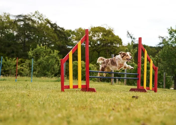 Hof Koehne - Altes - Dachstube Rechts Apartment *