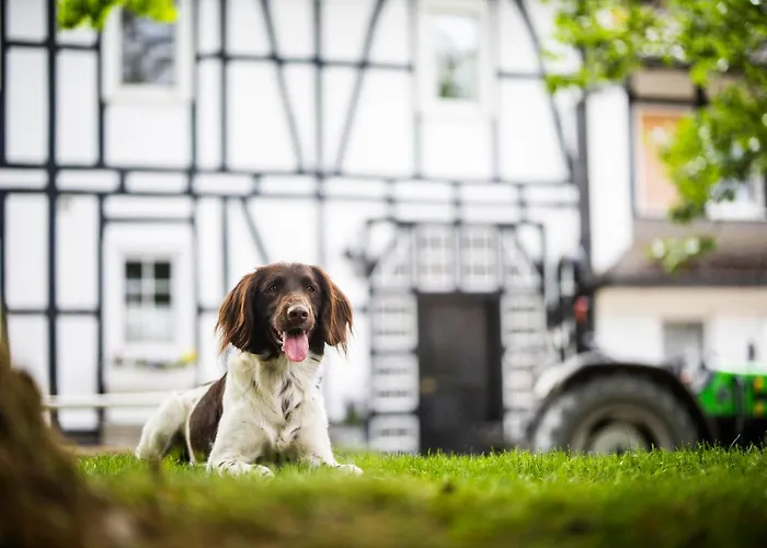 Hof Koehne - Altes - Dachstube Rechts Apartment Schmallenberg