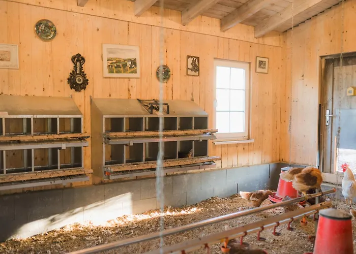 Apartment Hof Koehne - Altes - Dachstube Rechts Schmallenberg