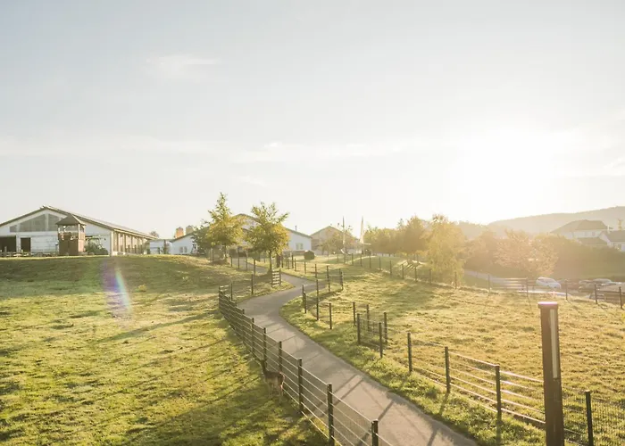 Hof Koehne - Altes - Dachstube Rechts * Schmallenberg