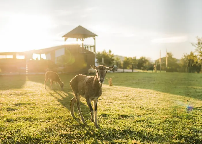 Hof Koehne - Altes - Dachstube Rechts *