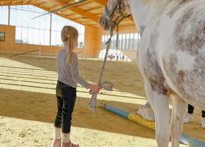 Apartment Hof Koehne - Altes - Dachstube Rechts Schmallenberg